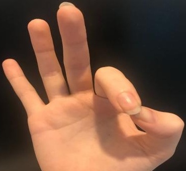 ASL sign language detection