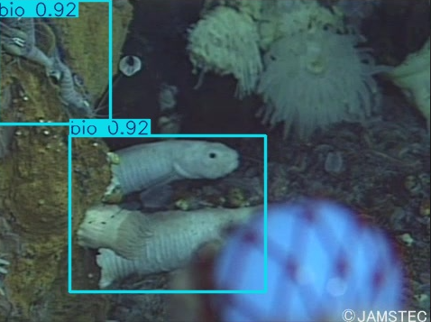 Underwater trash detection research