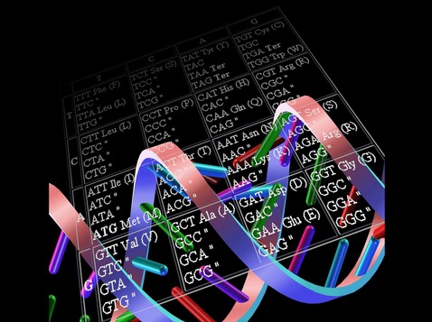 RNA sequence research